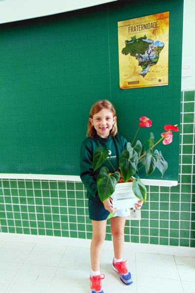 Uma flor era a resposta ao mistério lançado aos alunos.