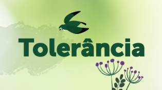 Tolerância: seis dicas para conviver com atitudes e opiniões diferentes